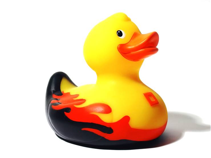Ducky Soap
